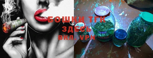 молекула духа Дмитровск