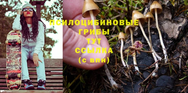 молекула духа Дмитровск