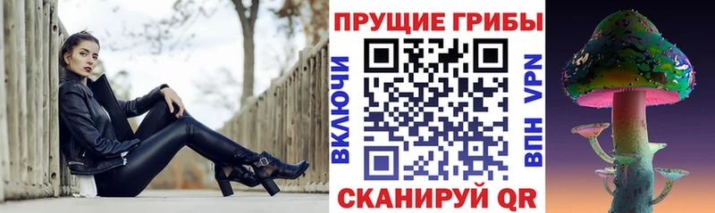 МЕГА ONION  где продают наркотики  Тимашёвск  Псилоцибиновые грибы Cubensis 